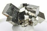 Shiny, Cubic Pyrite Crystal Cluster - Peru #225972-1